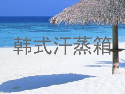 韩式汗蒸箱