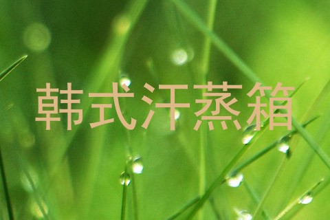 韩式汗蒸箱