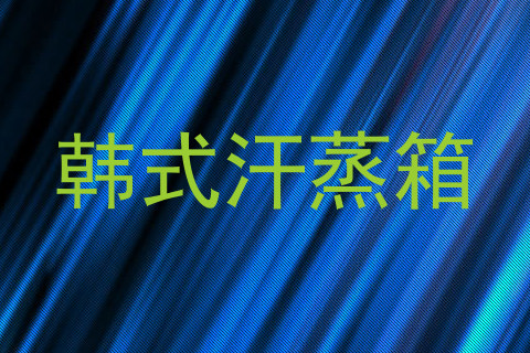 韩式汗蒸箱