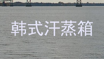 韩式汗蒸箱