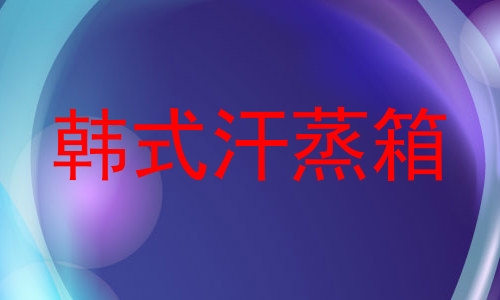 韩式汗蒸箱