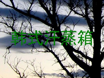 韩式汗蒸箱