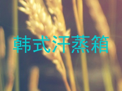 韩式汗蒸箱