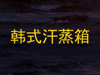 韩式汗蒸箱