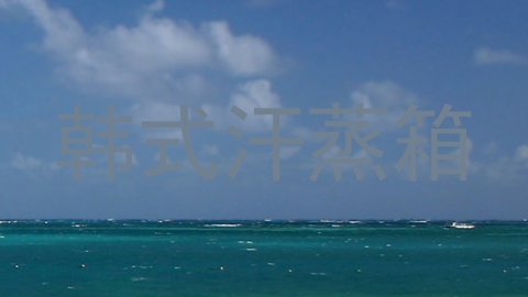 韩式汗蒸箱
