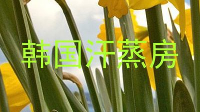 韩国汗蒸房