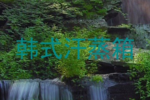 韩式汗蒸箱