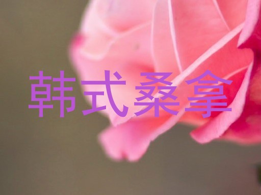 韩式桑拿