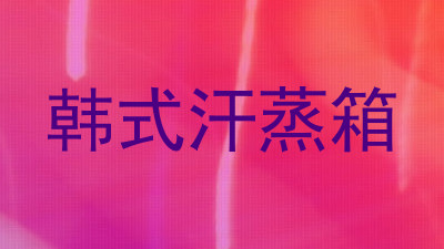 韩式汗蒸箱