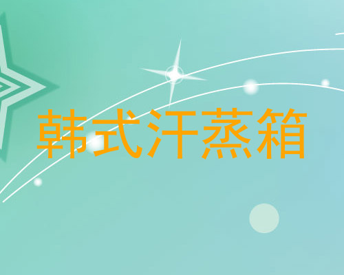 韩式汗蒸箱
