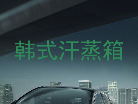 韩式汗蒸箱