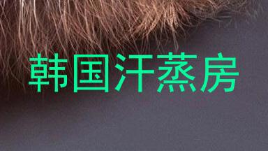 韩国汗蒸房