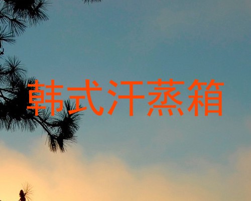 韩式汗蒸箱