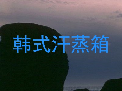 韩式汗蒸箱