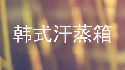 韩式汗蒸箱