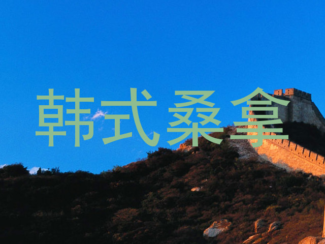 韩式桑拿