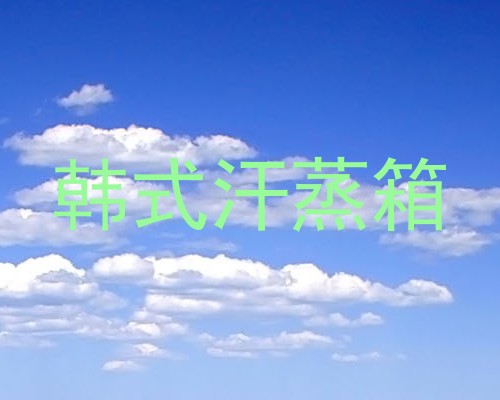 韩式汗蒸箱