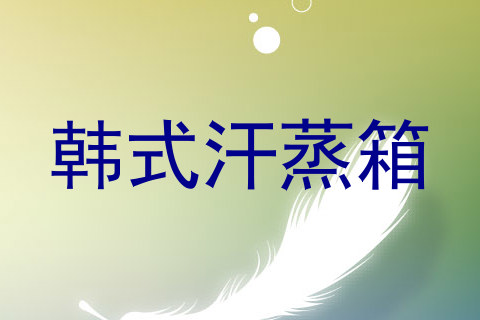 韩式汗蒸箱