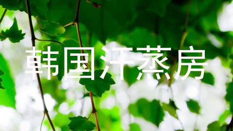 韩国汗蒸房