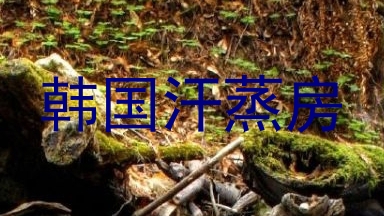 韩国汗蒸房