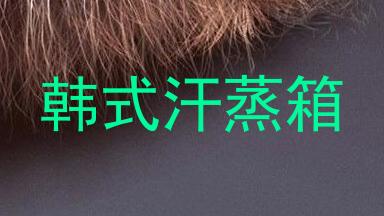 韩式汗蒸箱