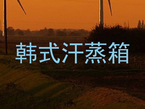 韩式汗蒸箱