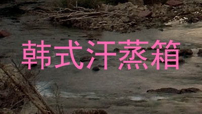 韩式汗蒸箱