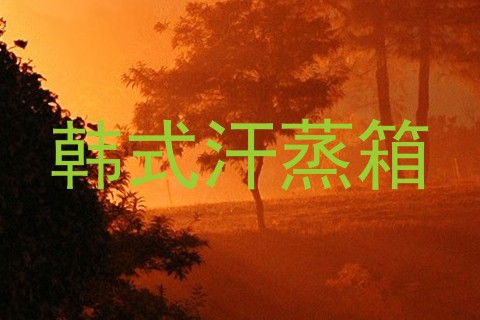 韩式汗蒸箱