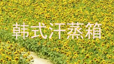 韩式汗蒸箱
