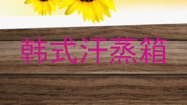 韩式汗蒸箱