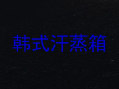 韩式汗蒸箱