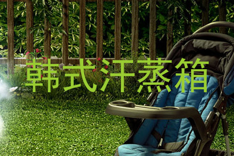韩式汗蒸箱
