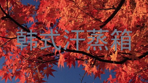韩式汗蒸箱