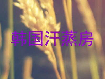 韩国汗蒸房