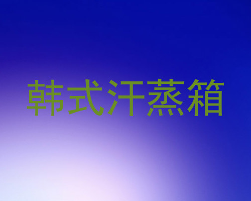 韩式汗蒸箱
