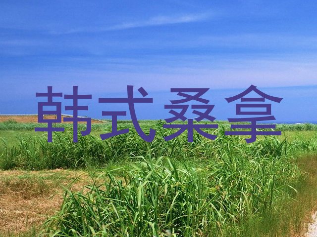 韩式桑拿
