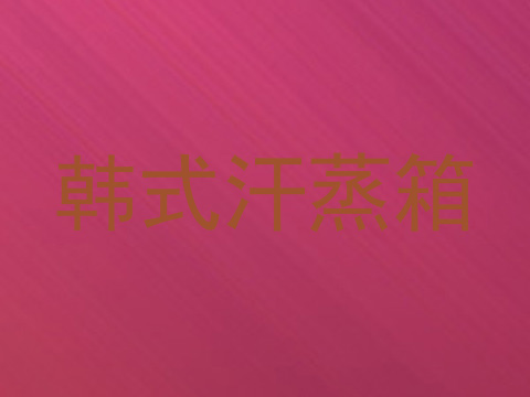 韩式汗蒸箱