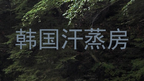 韩国汗蒸房