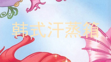 韩式汗蒸箱