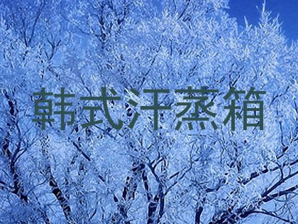 韩式汗蒸箱