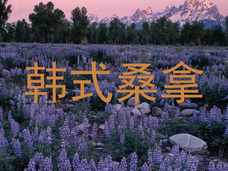 韩式桑拿