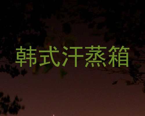 韩式汗蒸箱