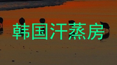 韩国汗蒸房