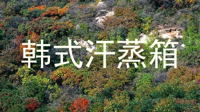 韩式汗蒸箱