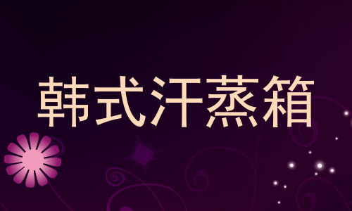 韩式汗蒸箱