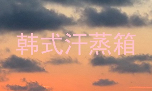 韩式汗蒸箱