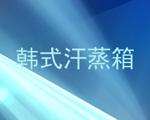 韩式汗蒸箱