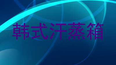 韩式汗蒸箱