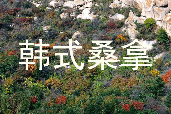 韩式桑拿