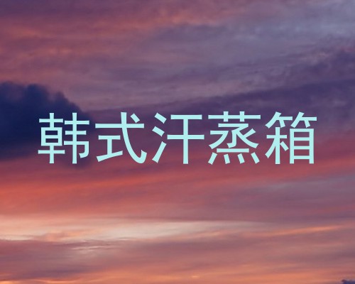 韩式汗蒸箱